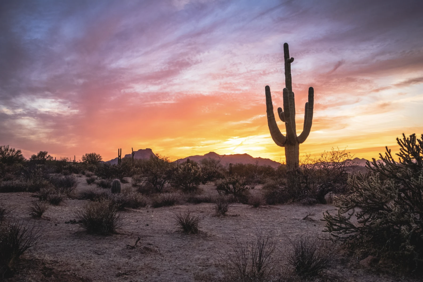 Fountain Hills Arizona