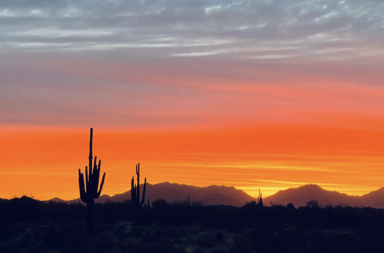 Litchfield Park AZ