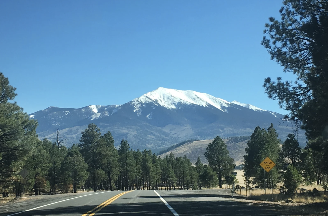 Flagstaff AZ